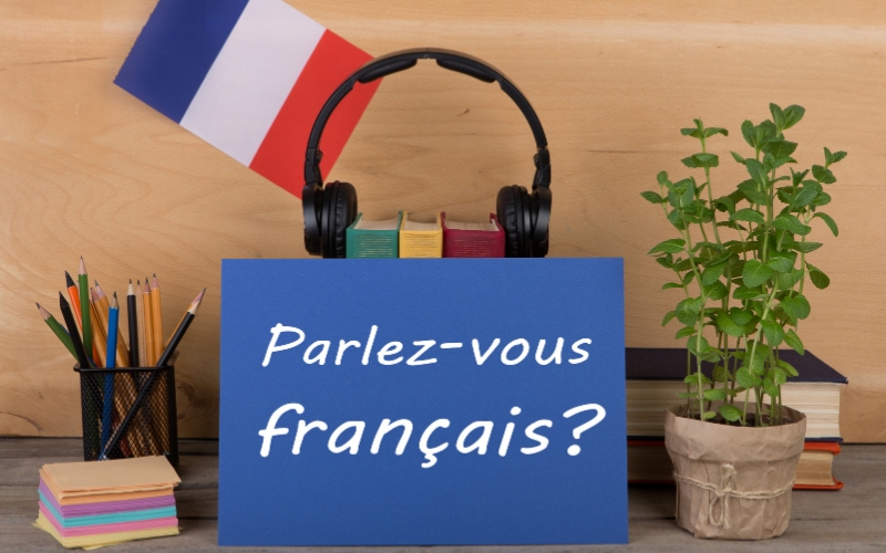 Tiếng Pháp - Ngôn ngữ của các tổ chức quốc tế