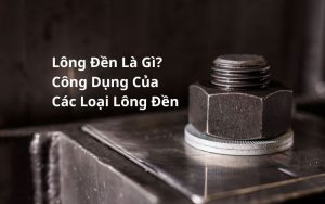 các loại lông đền