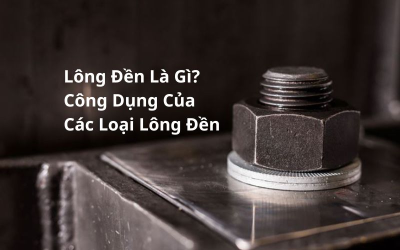 các loại lông đền