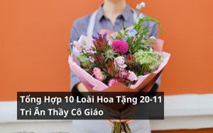 hoa tặng 20-11