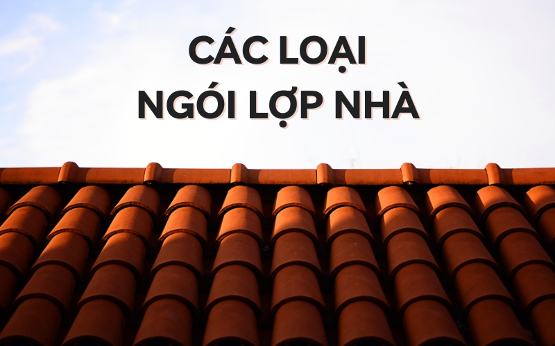 các loại ngói lợp nhà