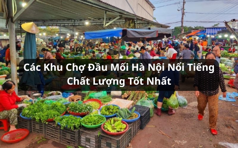 chợ đầu mối hà nội