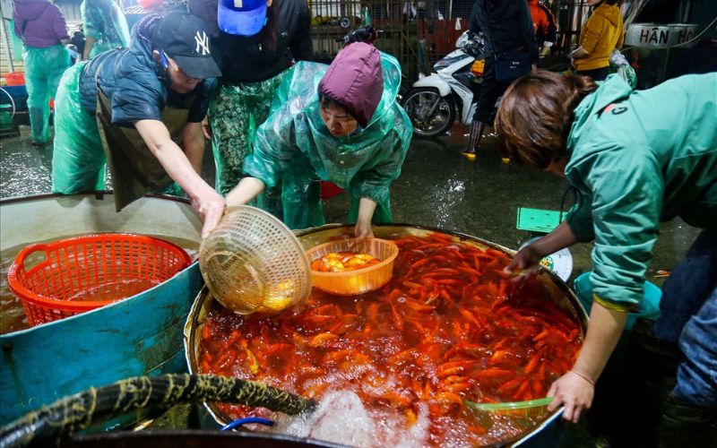 chợ đầu mối yên sở