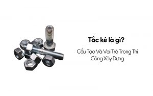 tắc kê là gì